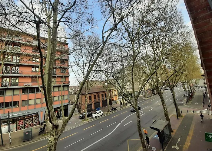 Apartment Pont Des Catalans Toulouse